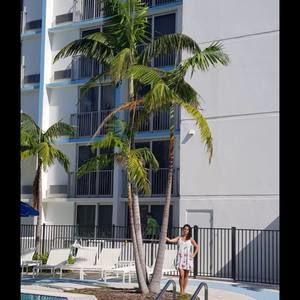 Meet your Posher, Isabel